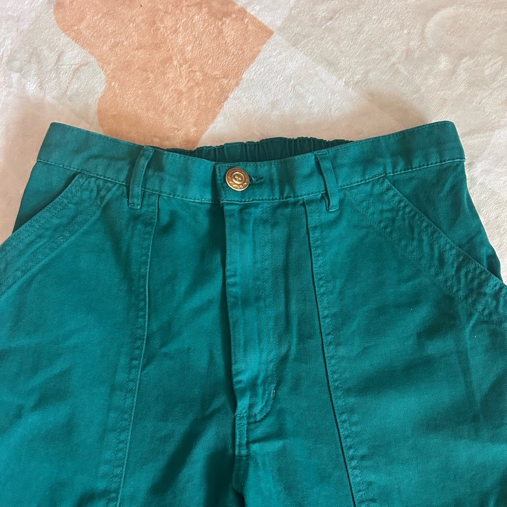 Big Bud Press Work Pants in Turqouise